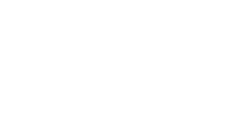 BWSZO | Berufswahl- und Weiterbildungsschule Zürcher Oberland - Logo